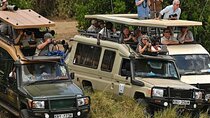 Nairobi Safari Experience 4-Day Shared 4WD Tour