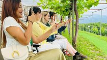 Private Wine Tasting Tour in Yamanashi Prefecture