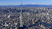 Tokyo Panoramic 1 Day: Meiji Shrine, Asakusa, Odaiba and SKYTREE®