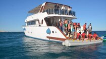 Hula Hula & Magawish Island Sea Trip With Lunch & Water Sports