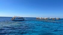 Ras Mohammed and White Island VIP Boat & Seafood Lunch From Sharm
