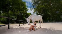 Horseback Riding and Cenote Swim from Cancun or Playa del Carmen