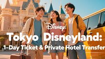 Tokyo Disneyland: 1-Day Ticket & Private Hotel Transfer