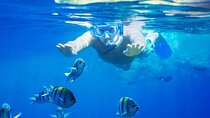 Bali Blue Lagoon Snorkeling with Private Transfer and Lunch