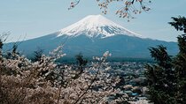 Private Mount Fuji Tour: Scenic Views, Lakes & Local Culture