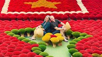 Hanoi: Quang Phu Cau Incense Village & Ninh Binh Small Group Tour