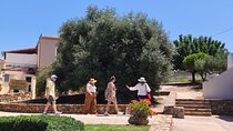 Chania Old Town - Millennial Olive Tree - Olive Oil Mill
