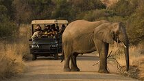 3 Day Pilanesberg Tlou Tented Safari Camp (En-Suite)