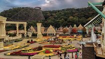 Private Everland Theme Park Transfer