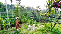 Ubud Iconic Full Day Tour Monkey Forest Rice Terraces Waterfalls