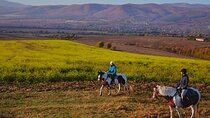 Escape Sofia: horse ride through Bulgaria's beauty