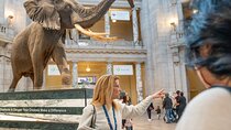 Smithsonian Natural History Museum Semi-Private Guided Tour