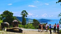 Phuket Hightlight Elephant Sanctuary Observe Experience