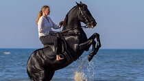 Horse Riding 2 Hours Experience in the Sea and Desert - Hurghada