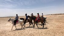 One Hour Horseback Riding Journey Through the Desert :Marsa Alam