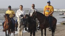 Horse Ride on the Beach