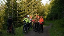 Akureyri Guided E-Bike Tour