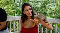 Monkeyland and Plantation in Punta cana 