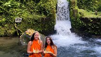 Bali: Water Purification at Pura Mengening
