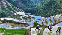 Explore the Best & Highlights of Northern Vietnam in 7 Days