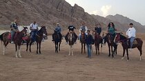 One-Hour Horseback Riding Through Stunning Desert & Sea -Hurghada