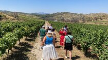 Private Tour Rhodes, Valley of the Butterflies & Local Winery