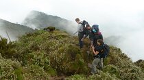 1 Day Mount Sabyinyo Hiking Adventure