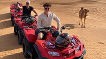 Dubai Dunes Trio: Buggies, Camels & Sandboarding