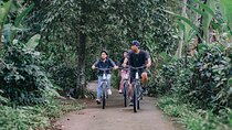 biking through villages and jungle in north ubud