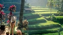 Best of Ubud Sightseeing Private All Inclusive Tour
