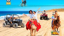 Day Pass Adventure in Los Cabos with Roundtrip Transport