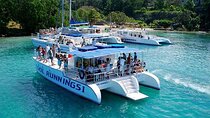 Dunn's River Falls with Catamaran Cruise Tour from Montego Bay