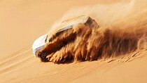 Dubai Desert Escape: Red Dunes Safari, Falcon, Camel & BBQ Dinner