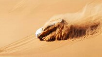 Abu Dhabi: Desert Safari, Camel Ride, Live Shows, and BBQ Dinner