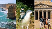 3 Day Combo: Great Ocean Road, Penguin Parade and FREE City Tour