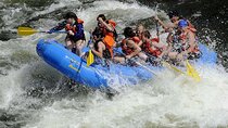 Full Day White Water Rafting on Kelani River from Kandy