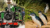 Puffing Billy Tour and Penguin Parade from Melbourne