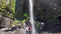 Napuru Waterfalls & Coffee Farm Tour: Pure Nature & A Cup of Soul