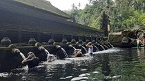 From Ubud: Waterfall, Water temple & rice terrace private tour