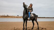 Horse Riding 2 hours in the Forest & River With Transfer - Agadir