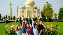 Taj Mahal Tour from Delhi All Inclusive