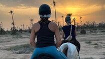 Sunset Horseback Ride in Marrakech’s Palmeraie pickup & drop-off
