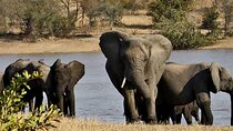 4-Day Private Kruger National Park & Panorama Route Adventure