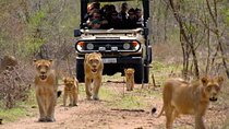 2 Day Kruger National Park Safari from Johannesburg
