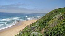 7 Day Overland Garden Route Tour from Cape Town to Durban