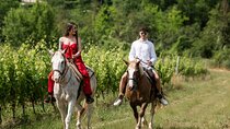 Private Photo Shooting on Horseback and at Wine Estate's