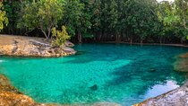 Krabi Emerald Pool, Hot Spring, and Tiger Cave Temple Day Tour