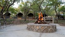 5 Day Glamping Safari in Kruger National Park