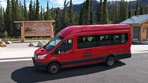 Denali to Fairbanks – Scenic Private Shuttle Transfer