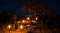 7 Day Midrange Kruger and Victoria Falls Package 
